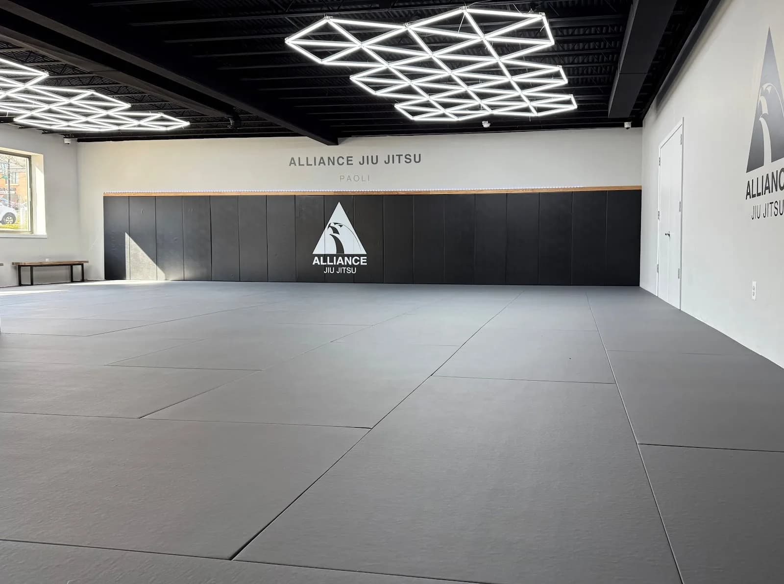 Alliance Jiu Jitsu Paoli — Alliance