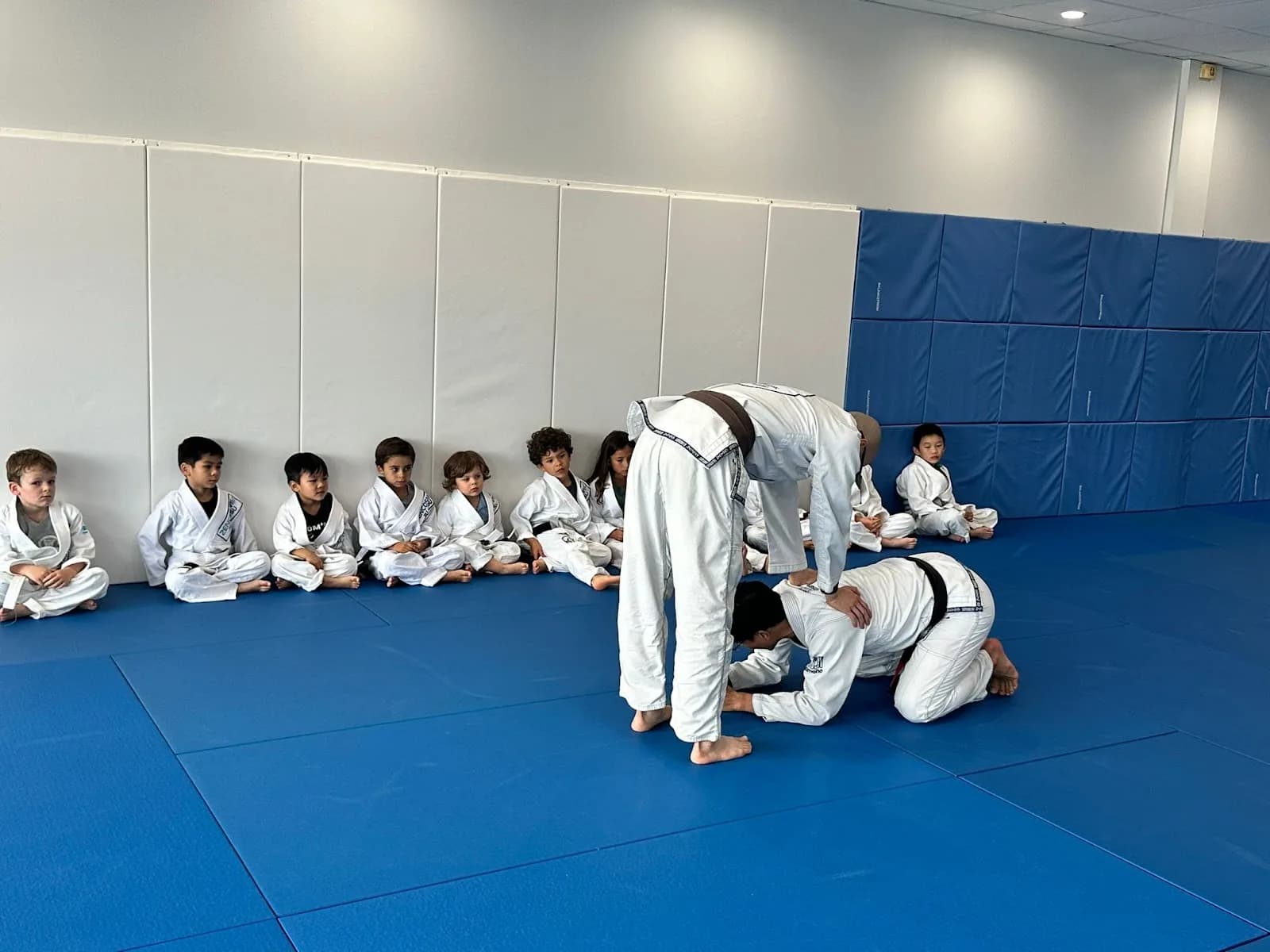 ZenCosmic Brazilian Jiu Jitsu and Yoga — BJJ gym in Houston