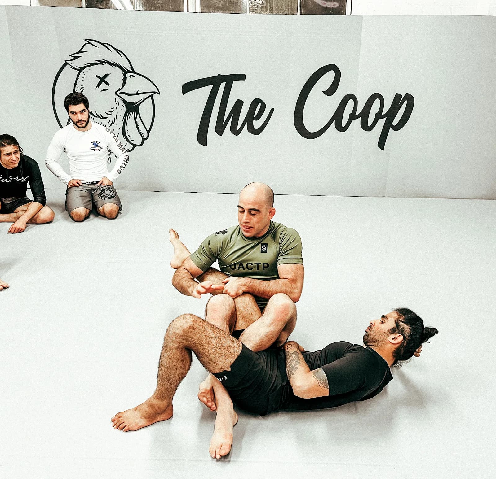 The Coop BJJ
