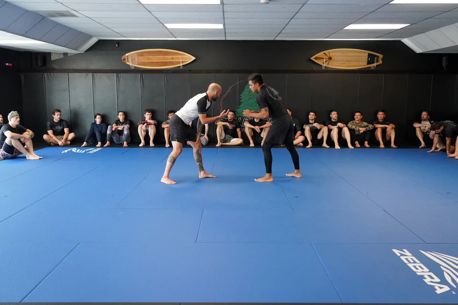 10th Planet Jiu Jitsu Tigard — 10th Planet BJJ gym in Tigard