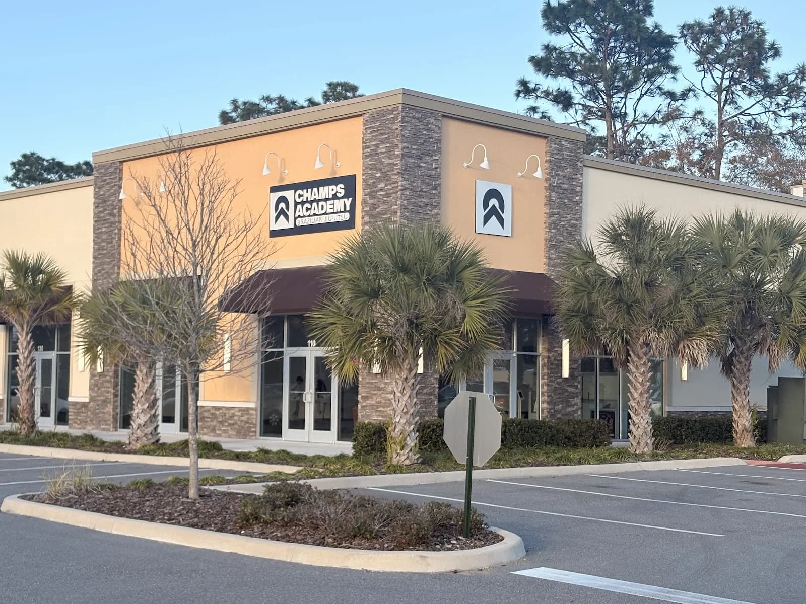 Champs BJJ Orlando — BJJ gym in Orlando