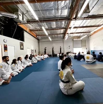 Gracie Jiu Jitsu Valencia — Gracie Humaita