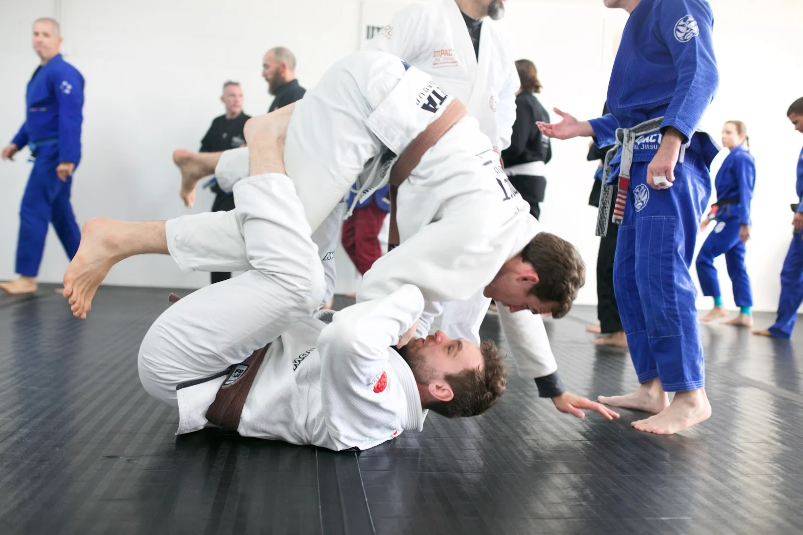 Impact Jiu Jitsu Albuquerque — BJJ gym in Albuquerque