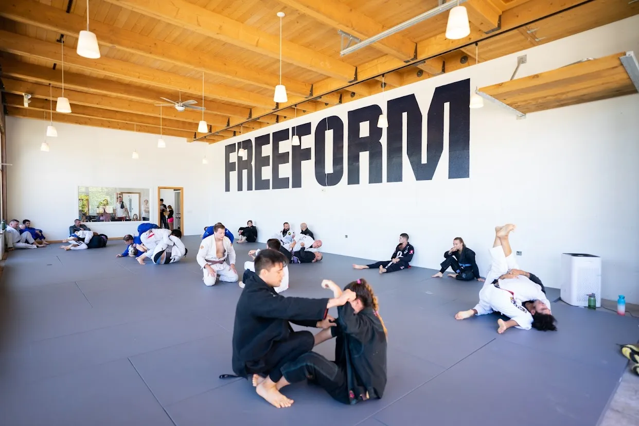 Free Form Jiu Jitsu