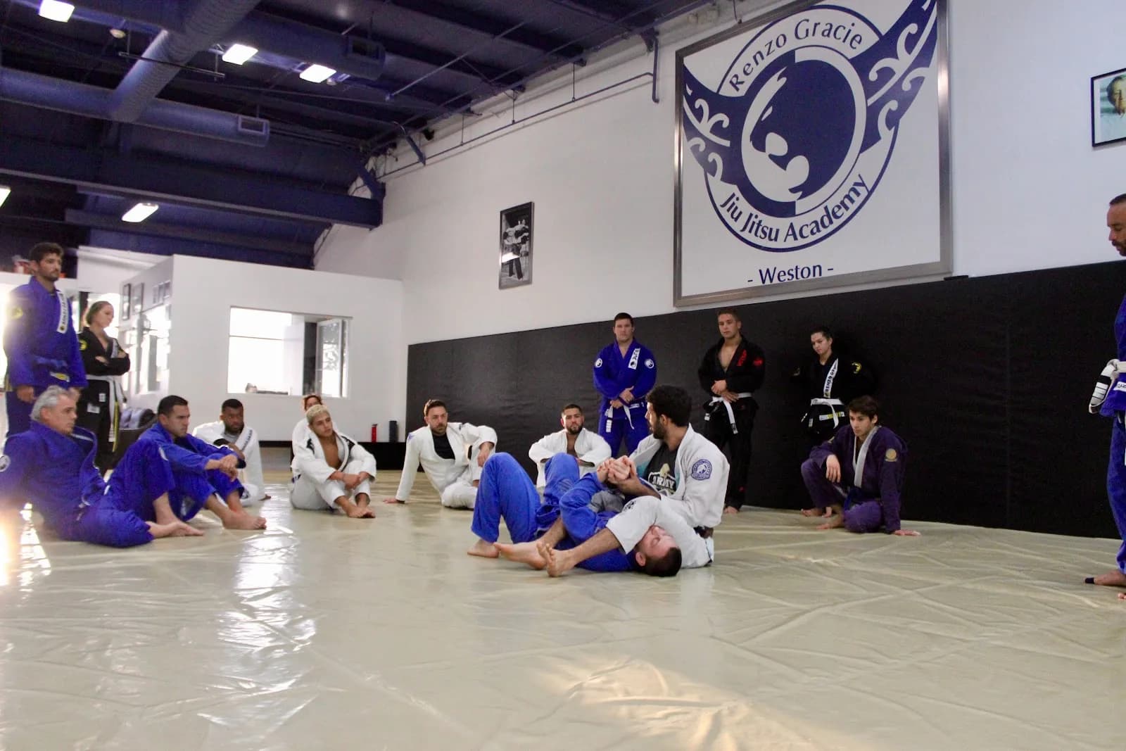 Renzo Gracie Jiu Jitsu & Training Center — Renzo Gracie