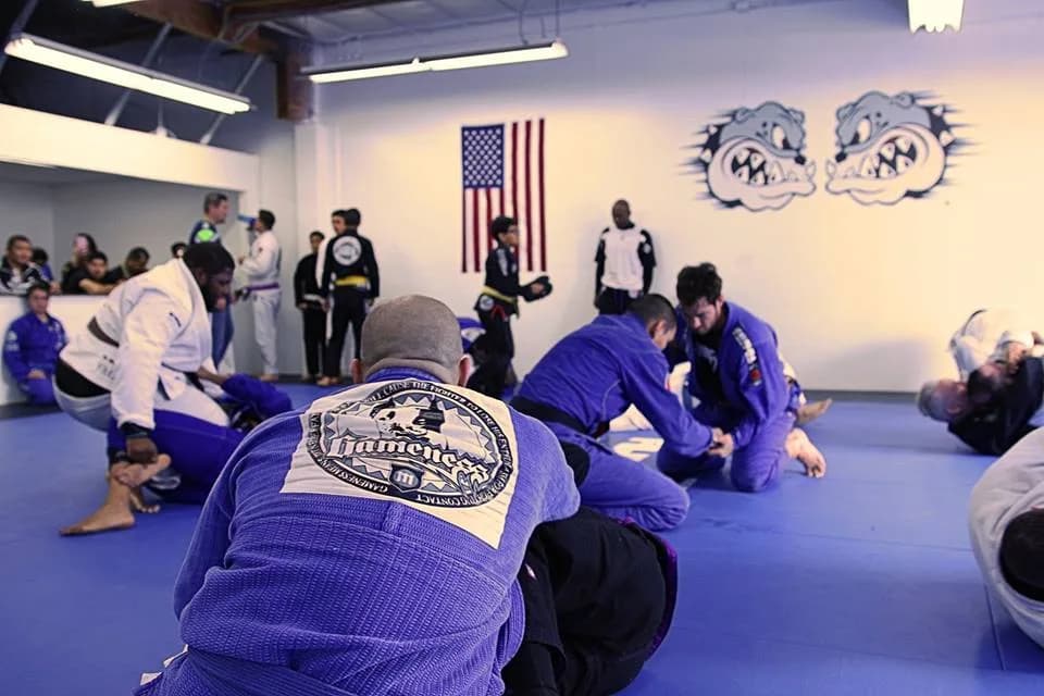 Carlson Gracie Irvine Jiu Jitsu — Carlson Gracie