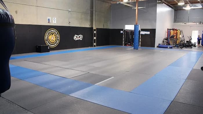 Freestyle MMA & Jiu Jitsu — BJJ gym in Las Vegas