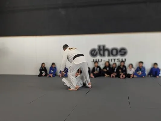 Ethos Jiu Jitsu South Bay