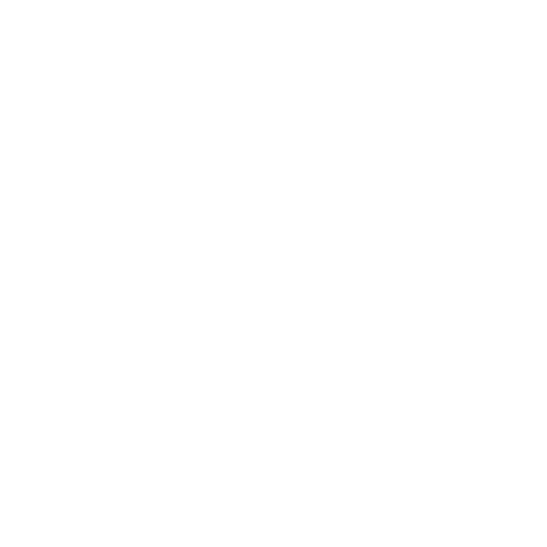 Big Palm Sumo logo