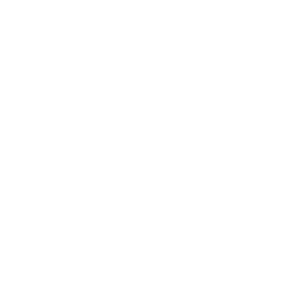 Lake Arrowhead Jiu Jitsu Open logo