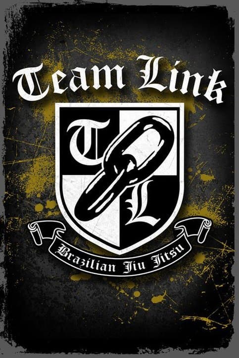 Team Link Utah logo