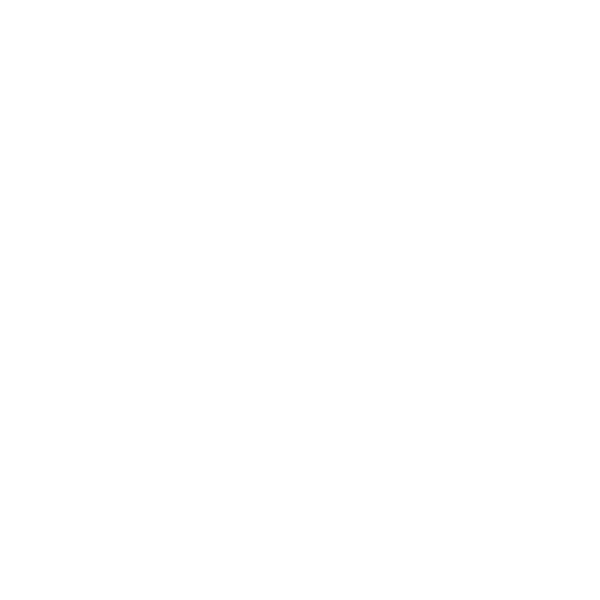 Atlanta Fall International Open IBJJF Jiu-Jitsu Championship 2026 flyer