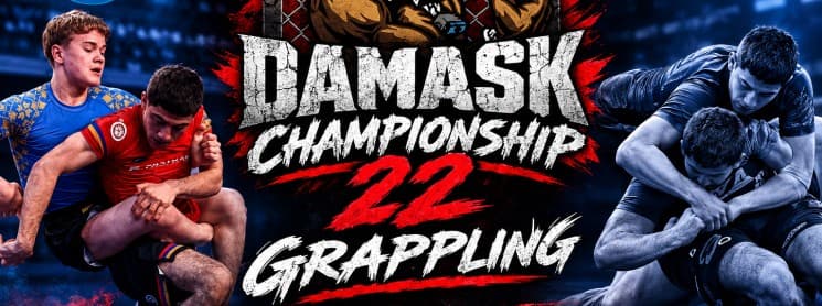 Academy mma Damask logo