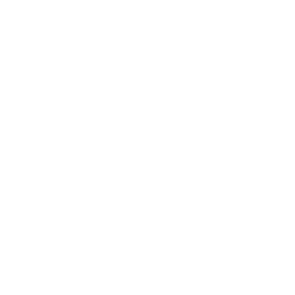 New Jersey Fall International Open IBJJF Jiu-Jitsu Championship 2026 flyer